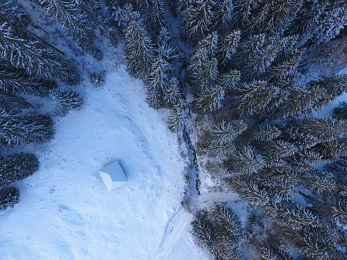 drone view aerial view of snow capped forest aerial view